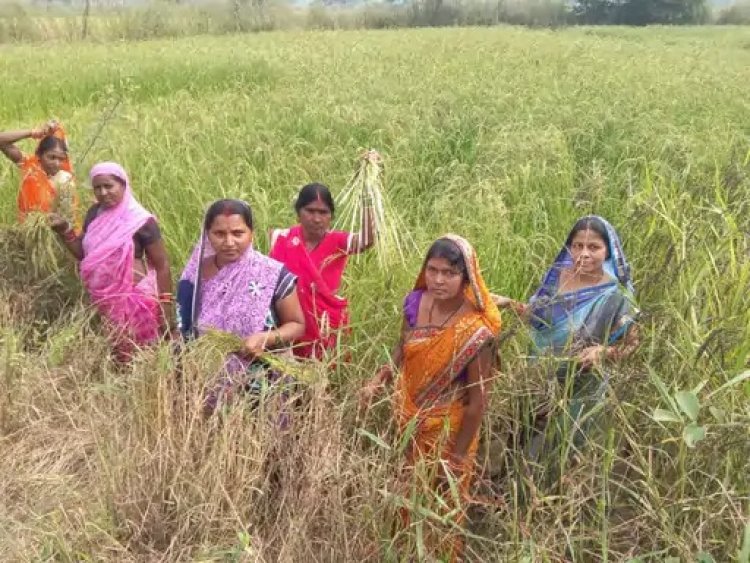 सेवा संकल्प अभियान ; औषधीय खस की खेती से आत्मनिर्भरता की ओर बढ़ते कदम