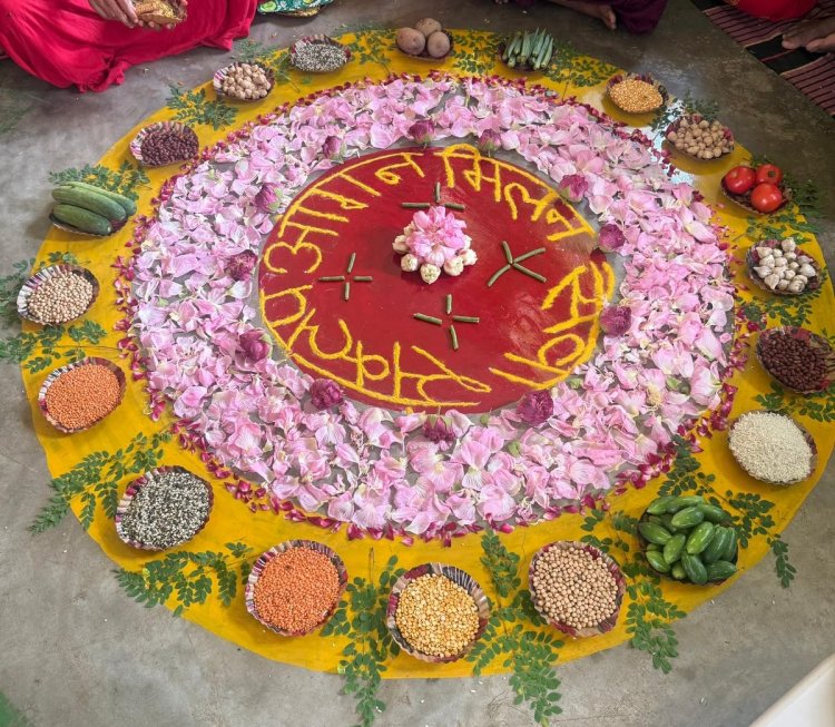 आंगन मिलन सेवा में सजी पौष्टिक थाली, घर-घर पहुंचा सुपोषण का संदेश सूरजपुर के आंगनबाड़ी केंद्रों में गोद भराई, न्योता भोज और पोषण गतिविधियों में शामिल हुए परिवार