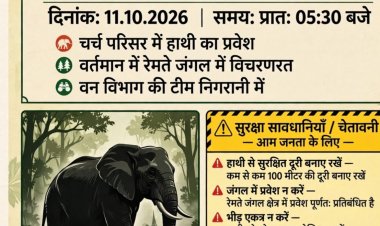 जशपुर वनमण्डल के कुनकुरी परिक्षेत्र अंतर्गत धुमांडाड नवाटोली के चर्च परिसर में पहुंचा हाथी