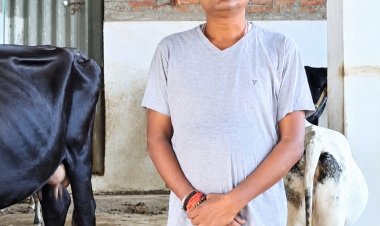 वैज्ञानिक पशुपालन से आत्मनिर्भरता की राह पर अनूप कश्यपउन्नत नस्ल की गायों और बछियों से बढ़ी आय, पशुधन विकास विभाग की योजनाओं और तकनीकी मार्गदर्शन से मिला संबल